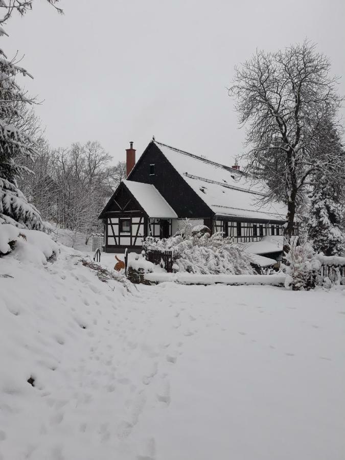 Agroturystyka Łysa Góra Jelenia Góra Exterior foto